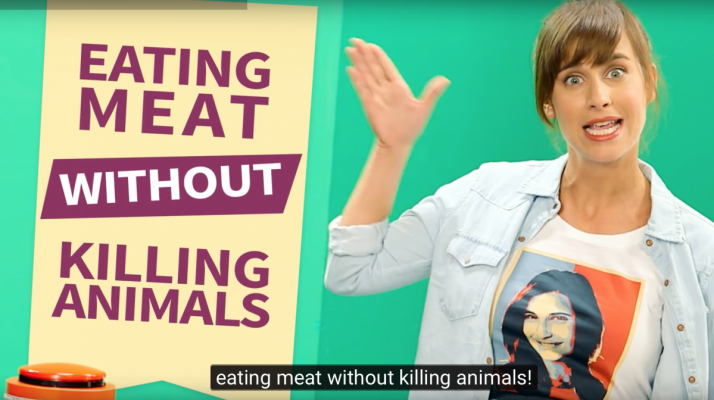 Fleischkonsum ohne Tierleid? aktualisiert 05.05.2021